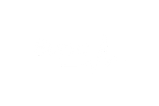 Bupa Logo